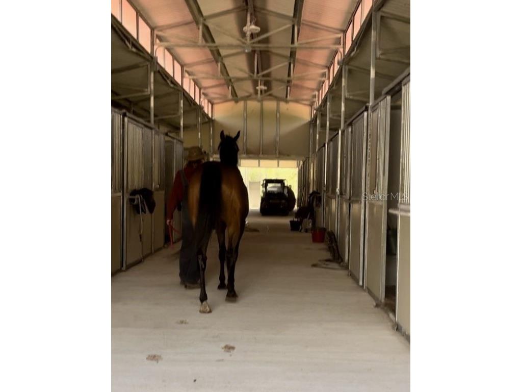 14192 Ermine Owl Road Brooksville FL 34614 TB8450010 image1