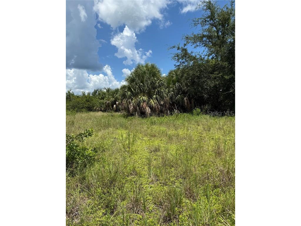 14194 and 14202 Barnwood Lane Port Charlotte FL 33981 D6143521 image3