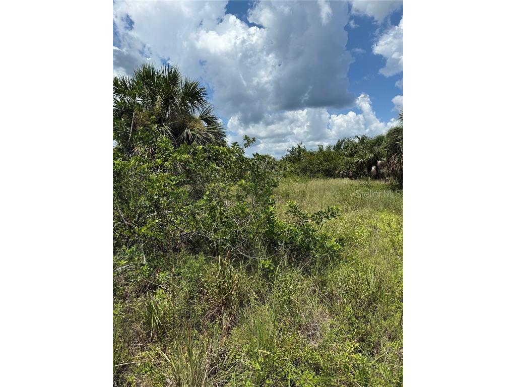 14194 and 14202 Barnwood Lane Port Charlotte FL 33981 D6143521 image4