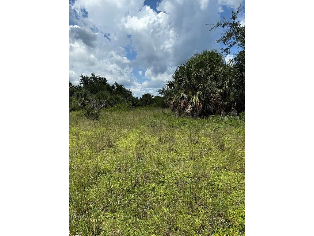 14194 and 14202 Barnwood Lane Port Charlotte FL 33981 D6143521 image6