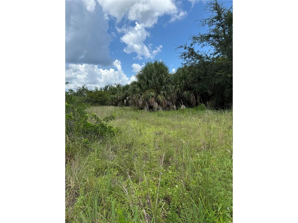 14194 and 14202 Barnwood Lane Port Charlotte FL 33981 D6143521 image7