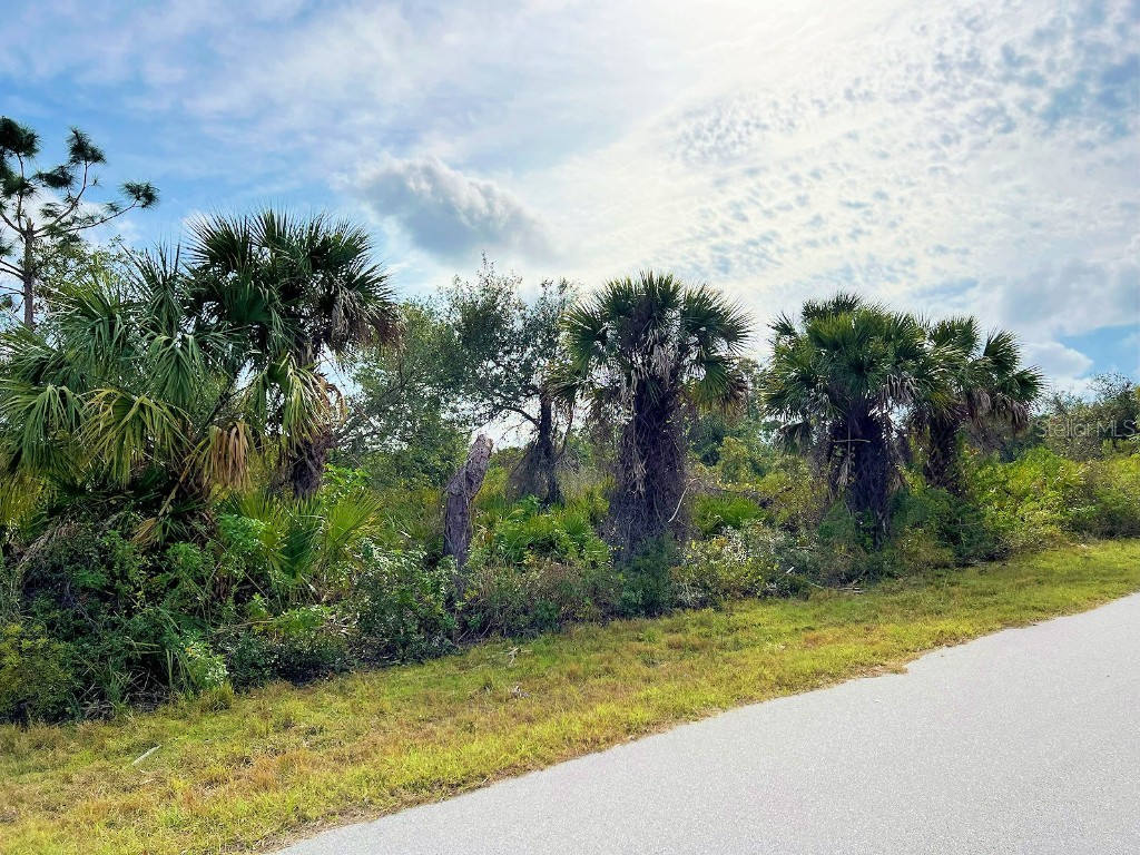 14195 Guadalcanal Avenue Port Charlotte FL 33953 C7505667 image1