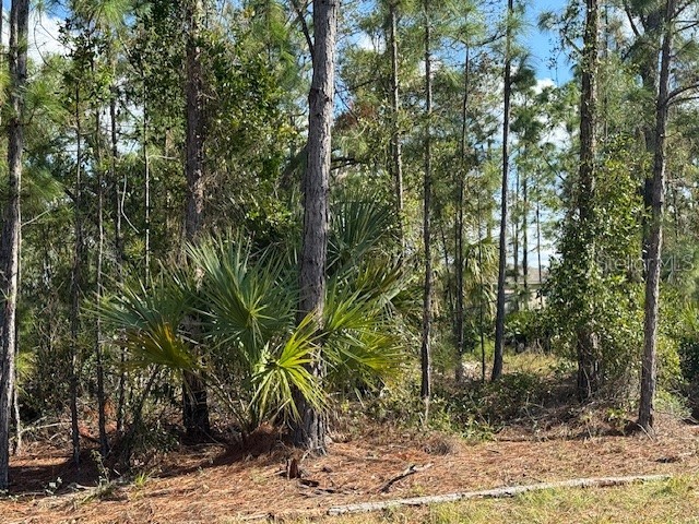 142 Algonquin Street Port Charlotte FL 33954 C7502141 image2