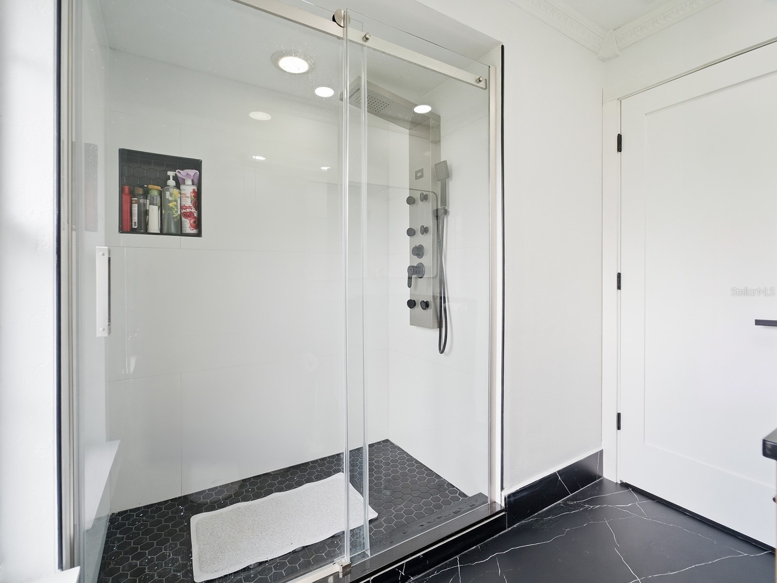 142 Barrington Drive Brandon FL 33511 TB8484875 image29