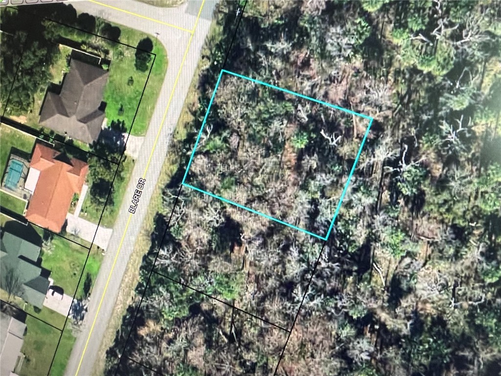 142 Blare Drive Palm Coast FL 32137 FC290326 image1