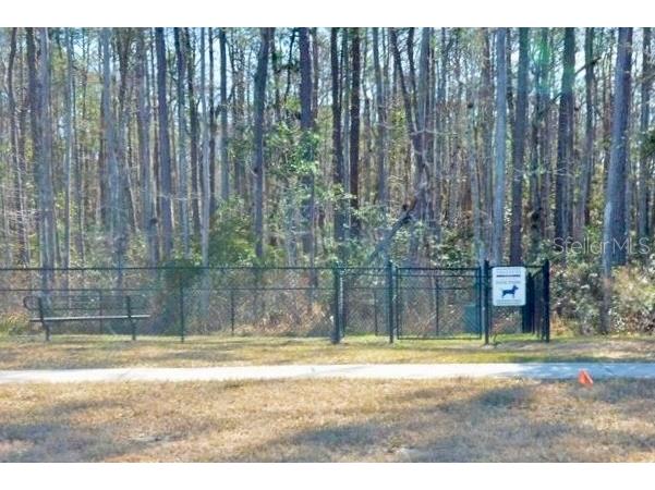 142 Dove Tree Lane Saint Augustine FL 32095 FC313276 image40