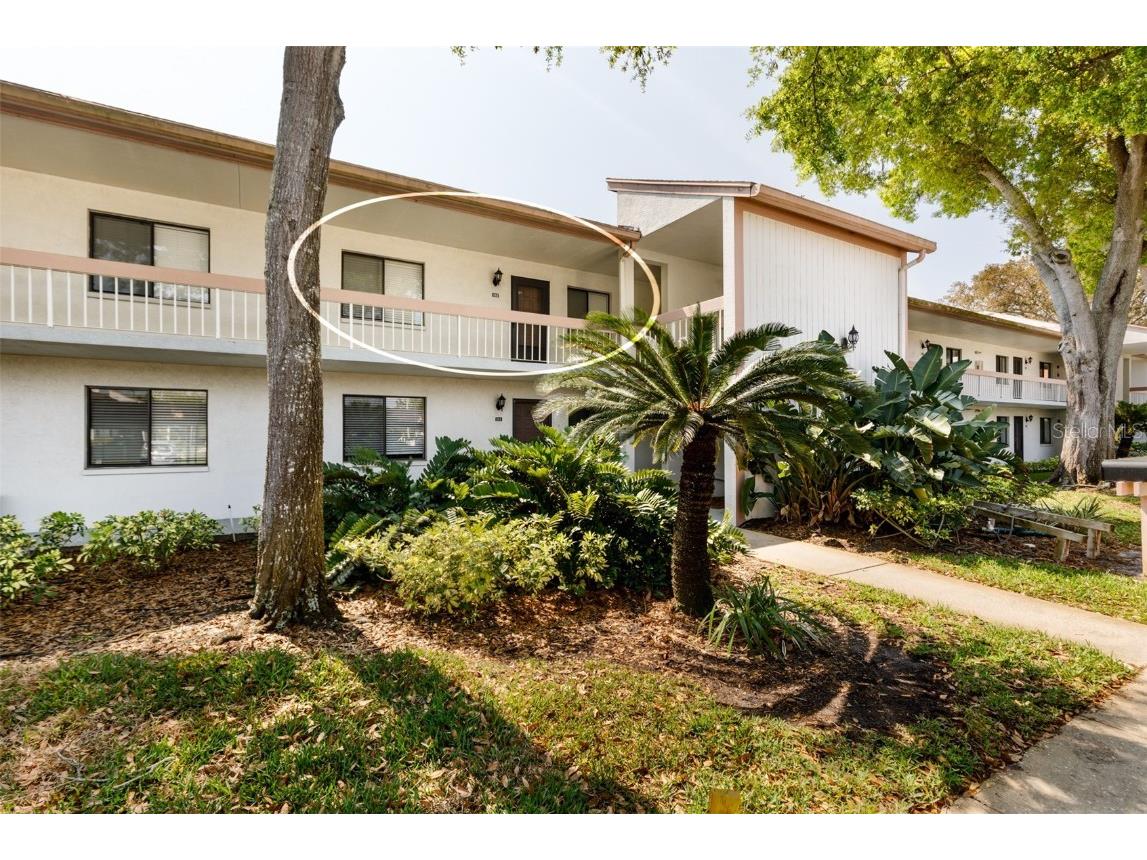 142 Lakeview Way #142 Oldsmar FL 34677 U8228269 image1