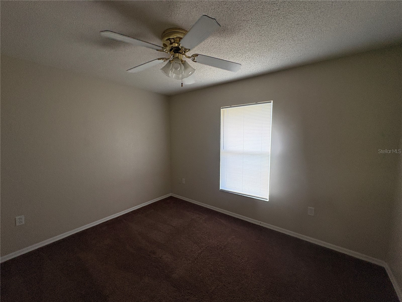 142 Lindale Street Lakeland FL 33809 L4961932 image13