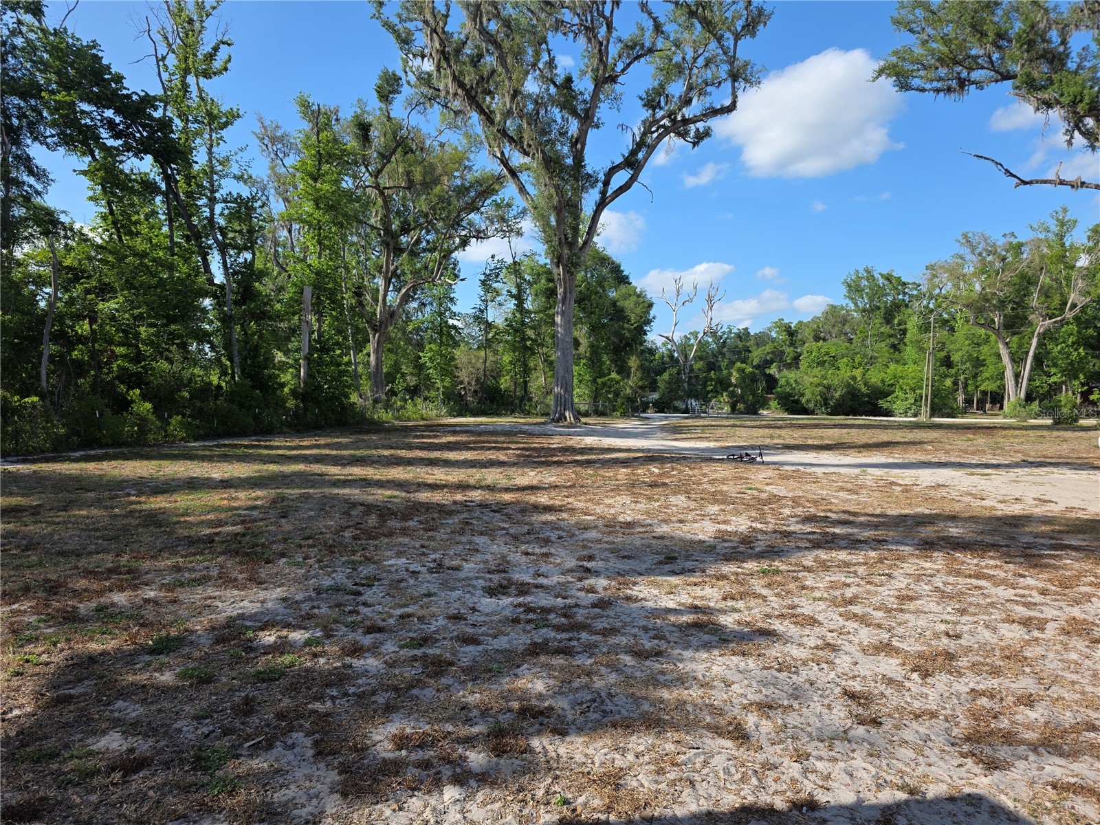 142 NE 112th Avenue Old Town FL 32680 TB8504553 image33