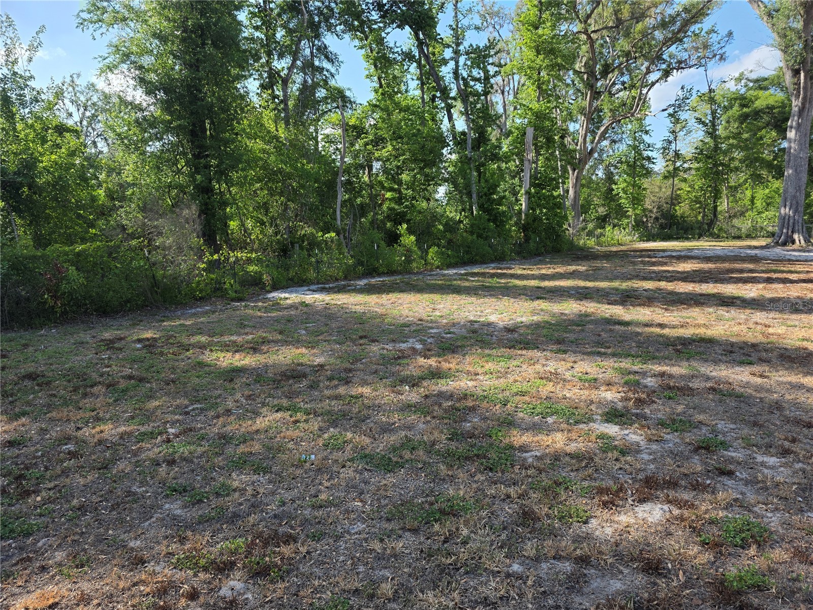 142 NE 112th Avenue Old Town FL 32680 TB8504553 image34