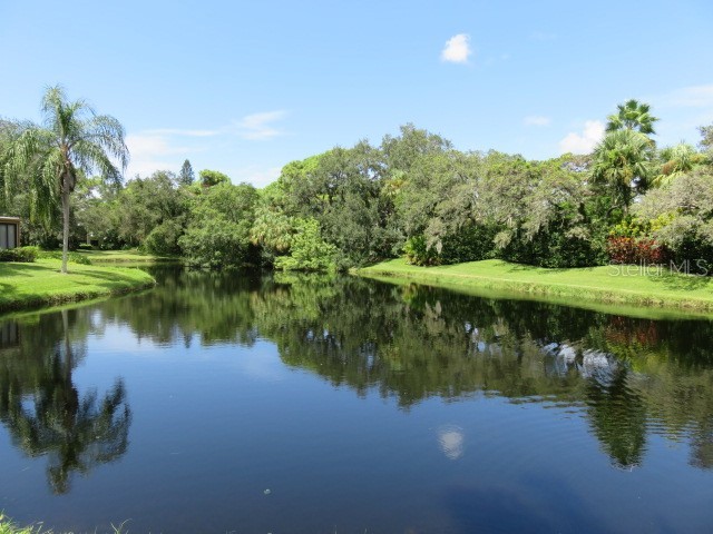 142 Pineneedle Drive #142U Bradenton FL 34210 A4636819 image19