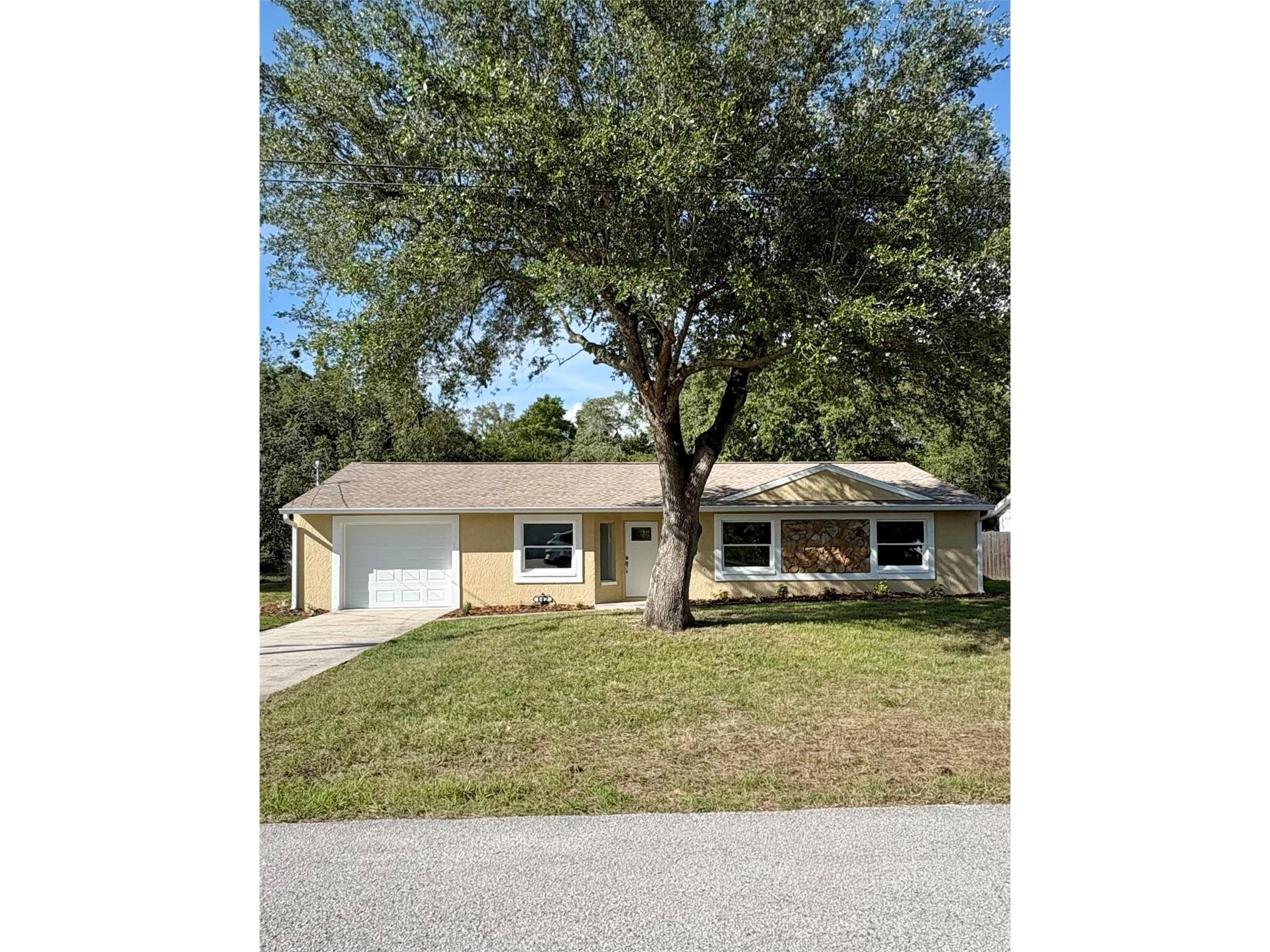 142 Rosedale Avenue Spring Hill FL 34606 TB8519171 image1