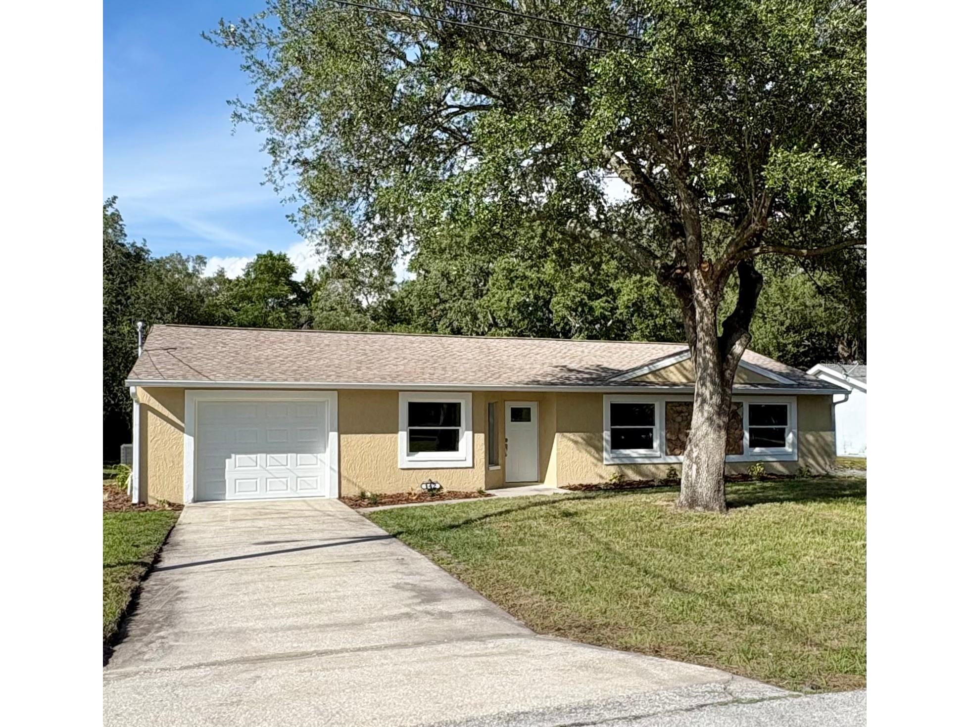 142 Rosedale Avenue Spring Hill FL 34606 TB8519171 image2
