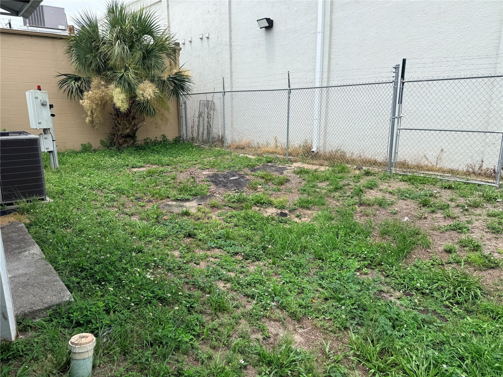 142 S Moon Avenue Brandon FL 33511 TB8515378 image15