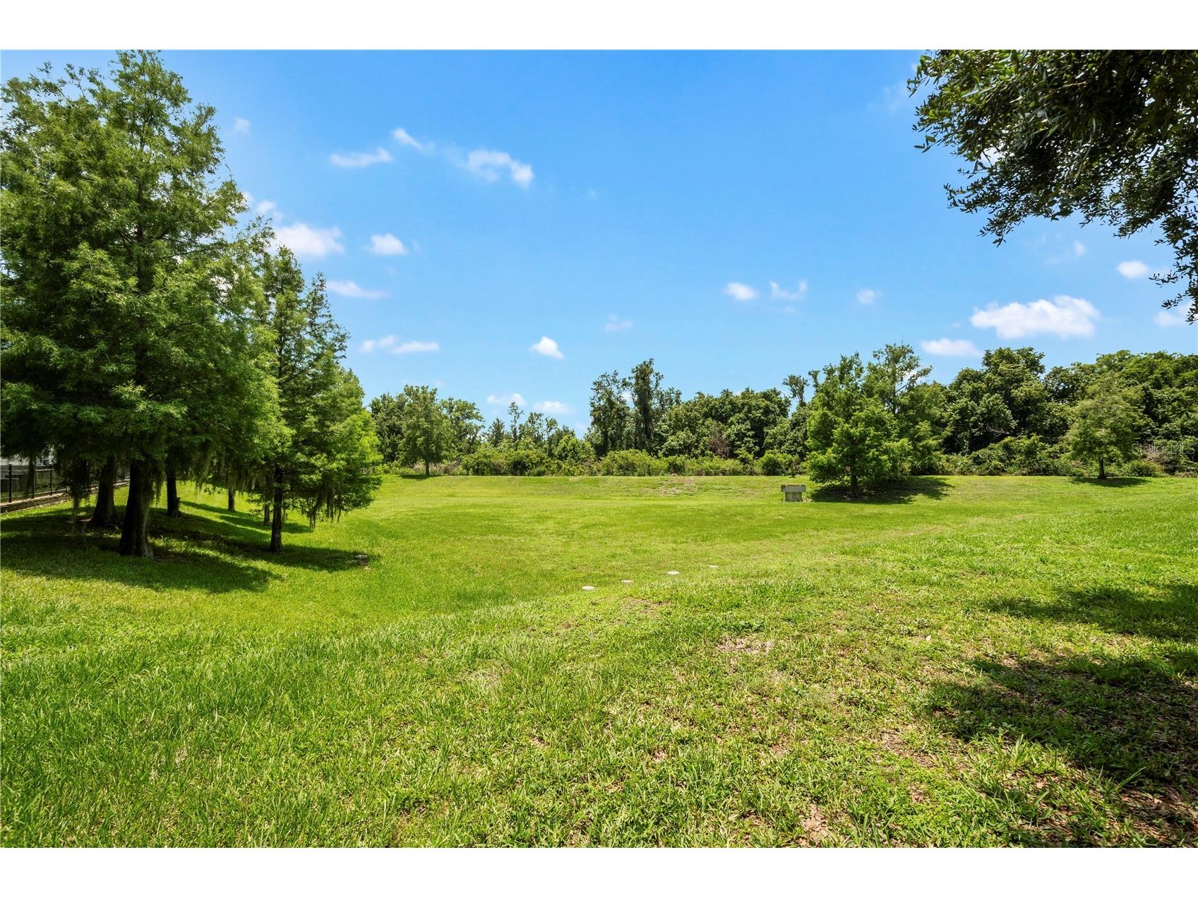 142 Southern Pecan Circle #205 Winter Garden FL 34787 O6414551 image51