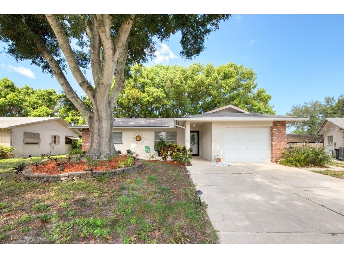 142 Stafford Circle Palm Harbor FL 34684 - LAKE TARPON U8209396 image1