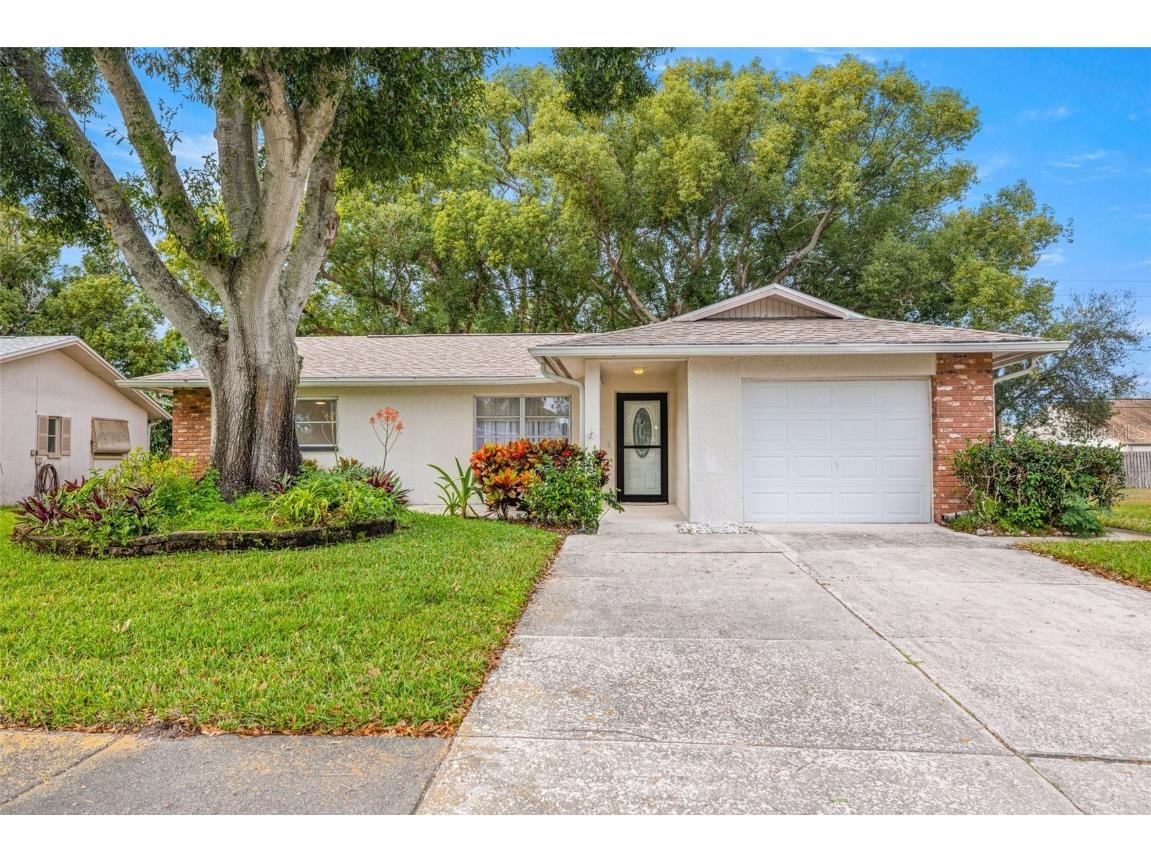 142 Stafford Circle Palm Harbor FL 34684 - LAKE TARPON TB8450333 image1