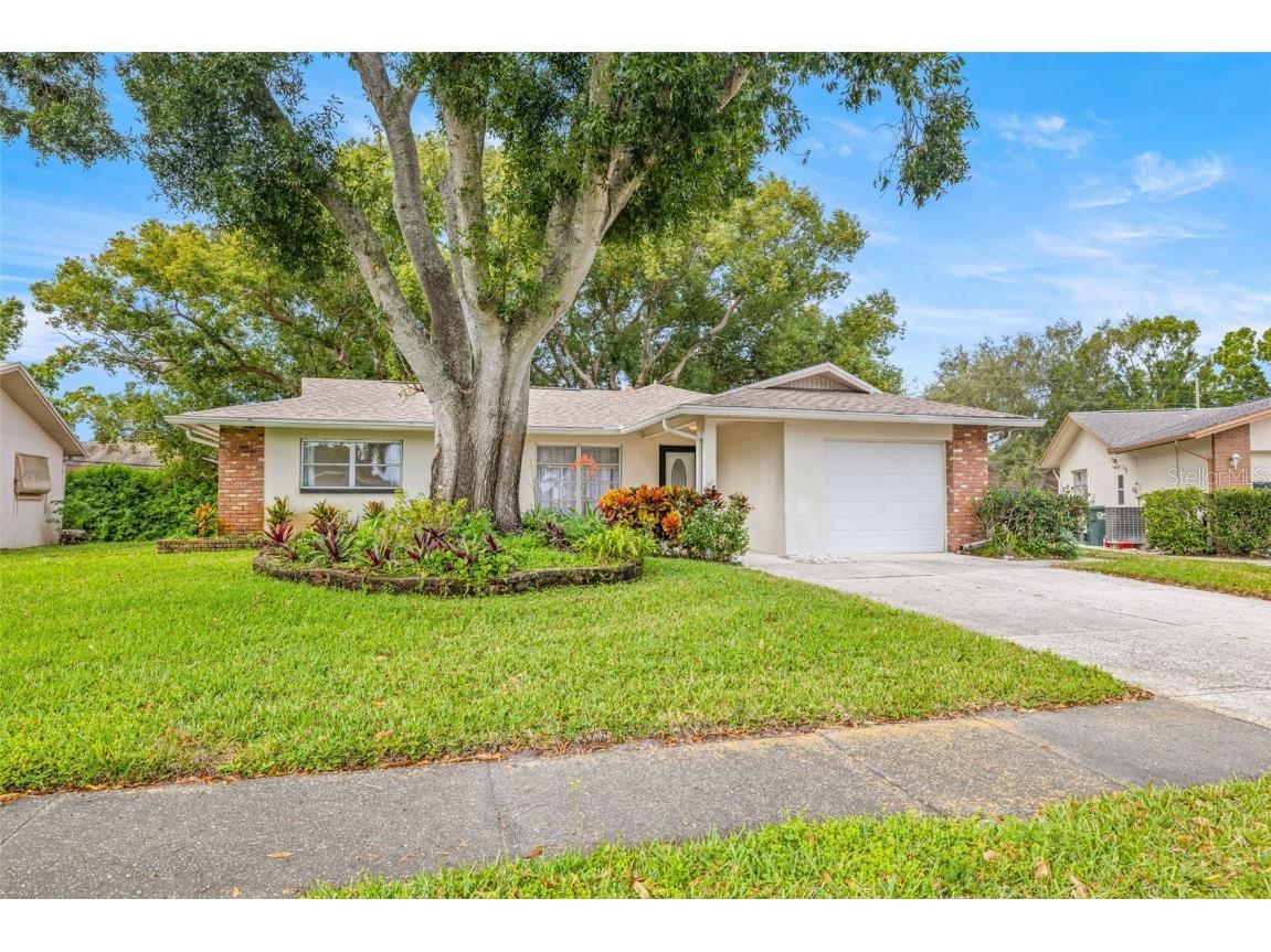 142 Stafford Circle Palm Harbor FL 34684 - LAKE TARPON TB8450333 image2