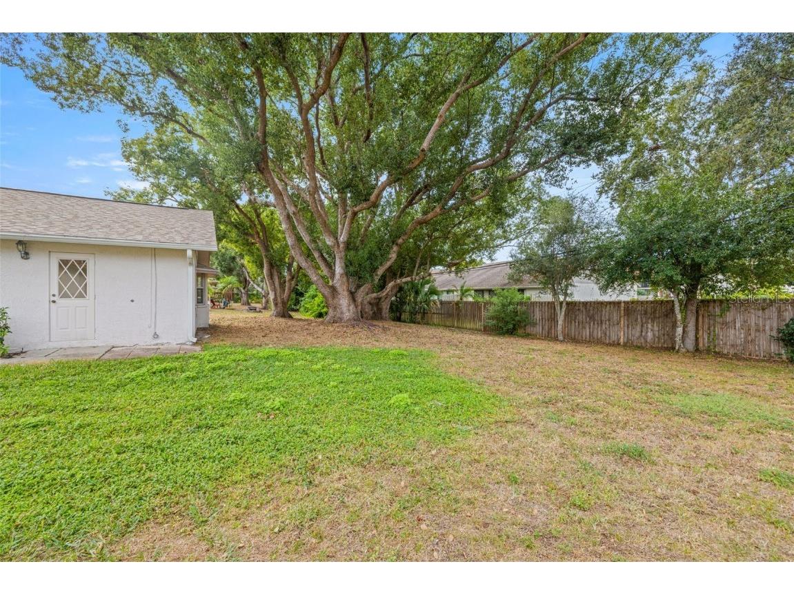 142 Stafford Circle Palm Harbor FL 34684 - LAKE TARPON TB8450333 image26