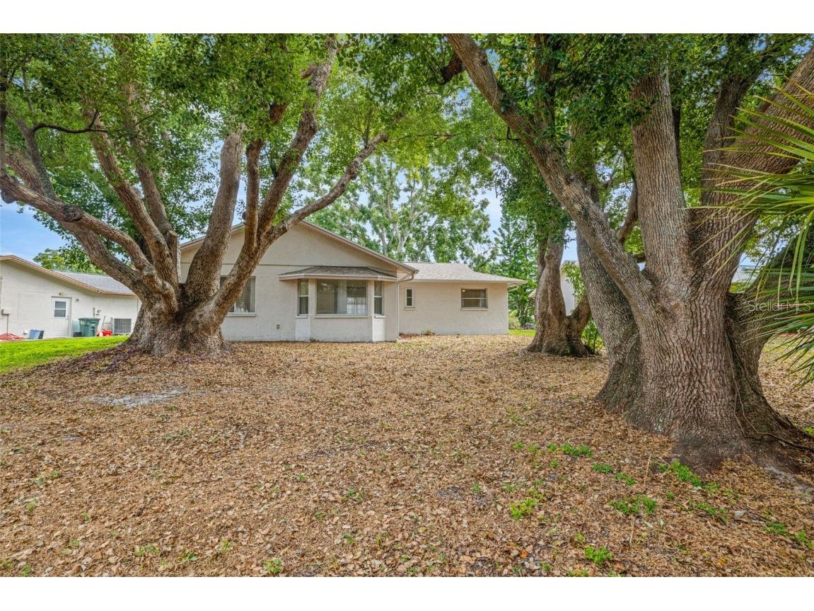 142 Stafford Circle Palm Harbor FL 34684 - LAKE TARPON TB8450333 image28