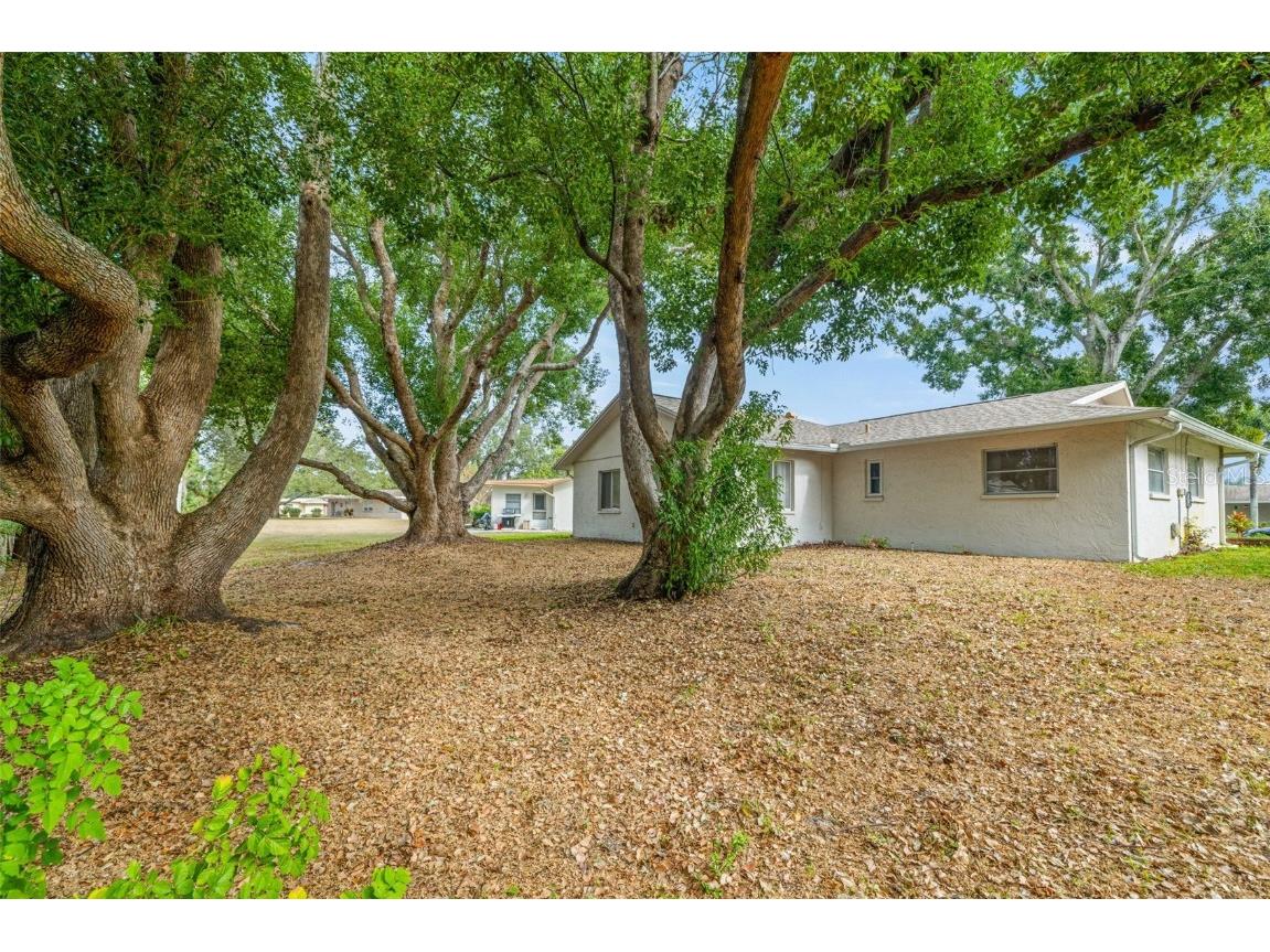 142 Stafford Circle Palm Harbor FL 34684 - LAKE TARPON TB8450333 image29