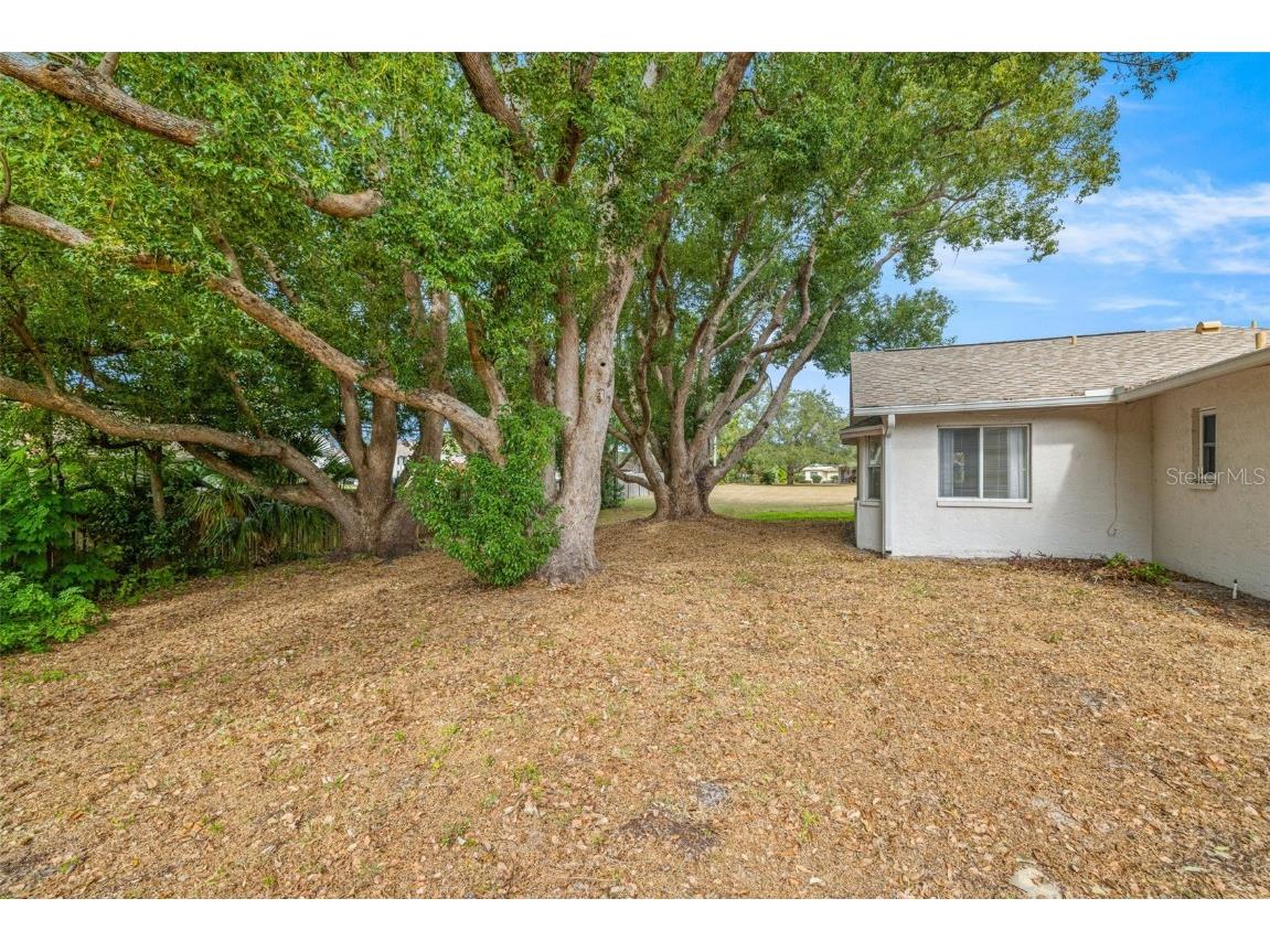 142 Stafford Circle Palm Harbor FL 34684 - LAKE TARPON TB8450333 image30