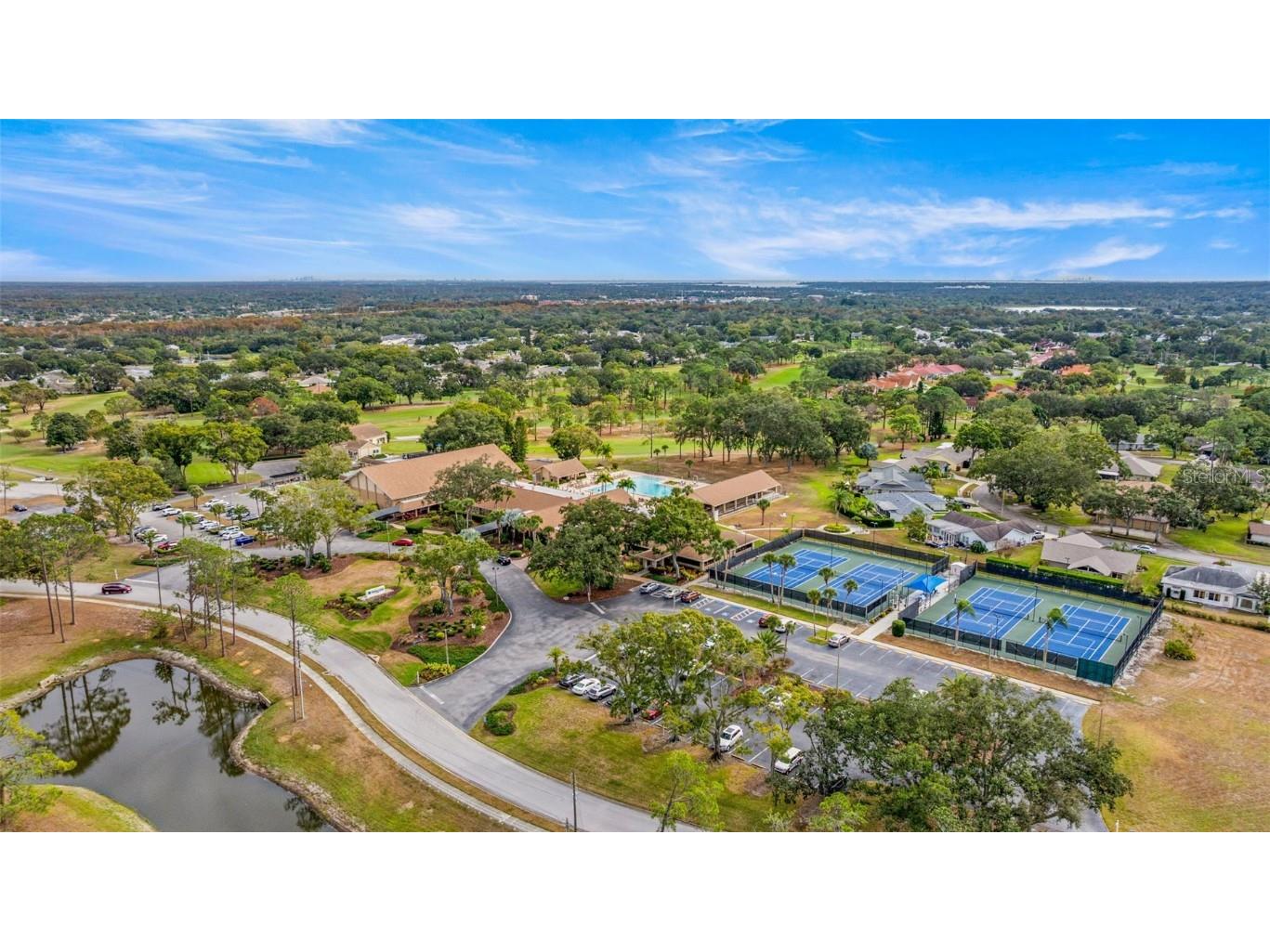 142 Stafford Circle Palm Harbor FL 34684 - LAKE TARPON TB8450333 image32