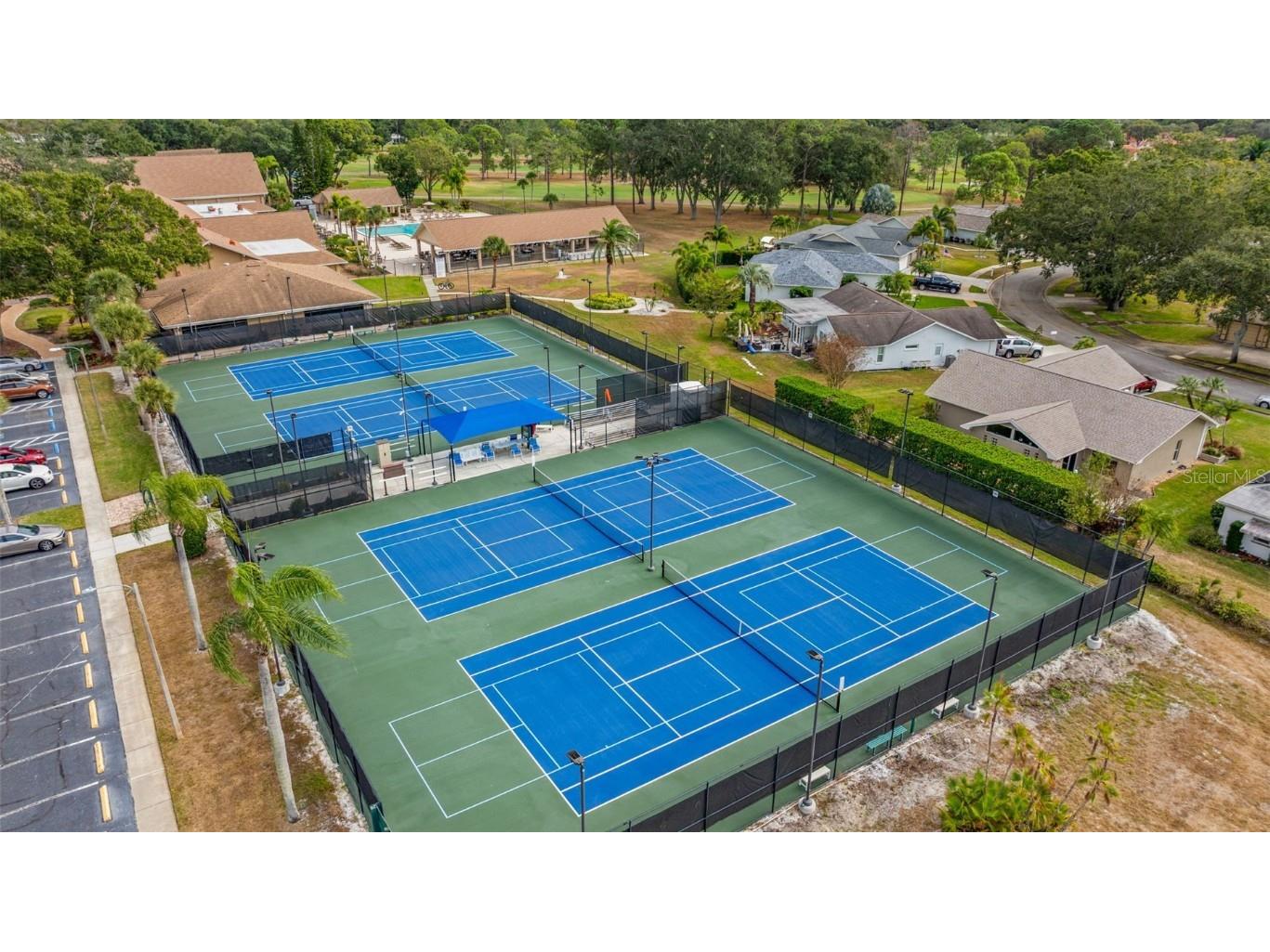 142 Stafford Circle Palm Harbor FL 34684 - LAKE TARPON TB8450333 image37