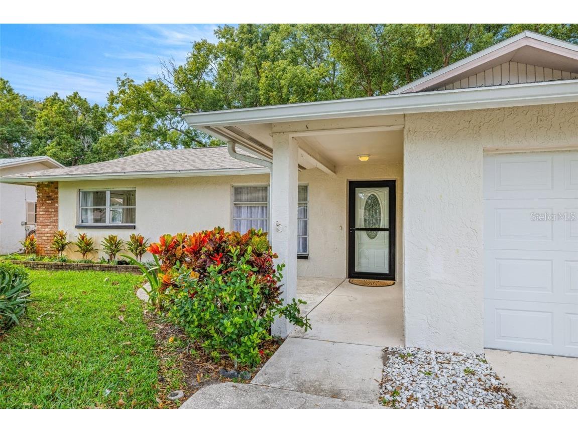 142 Stafford Circle Palm Harbor FL 34684 - LAKE TARPON TB8450333 image4