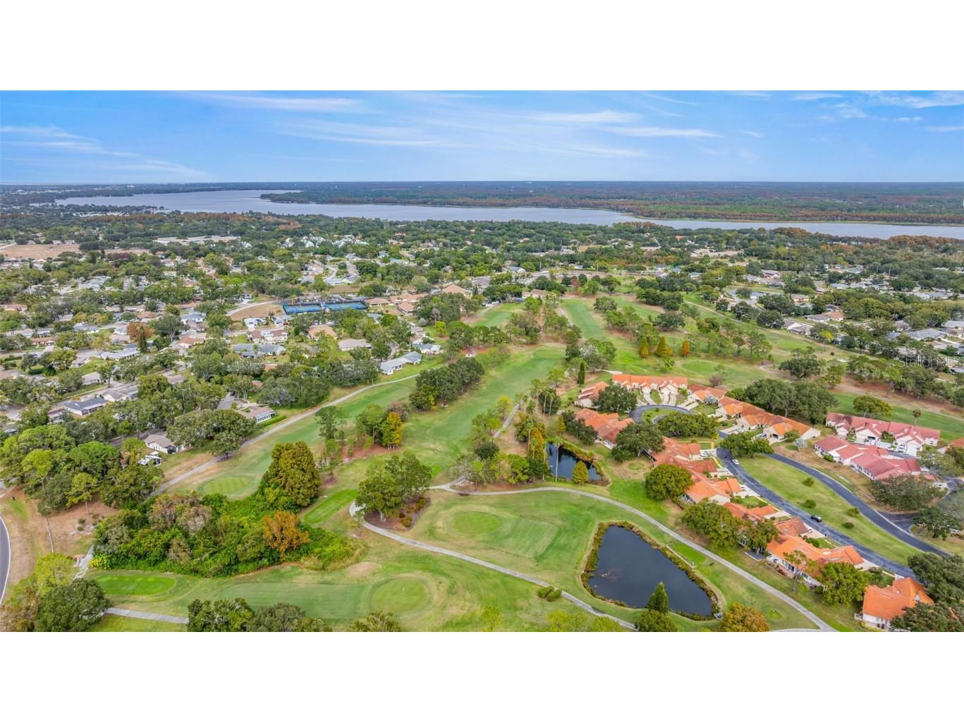 142 Stafford Circle Palm Harbor FL 34684 - LAKE TARPON TB8450333 image40