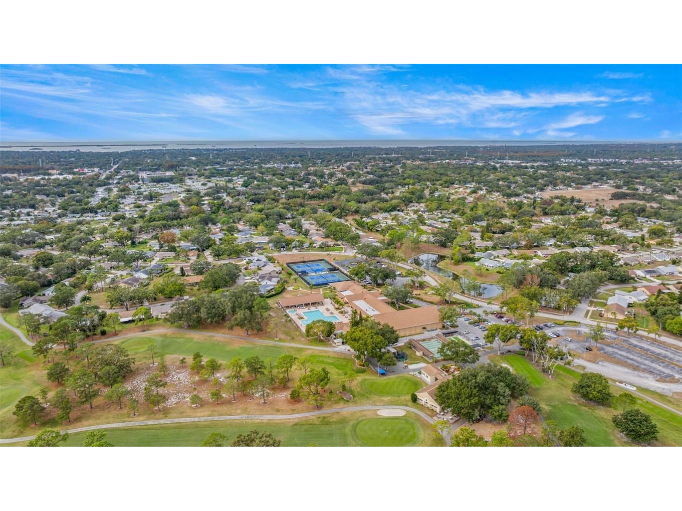 142 Stafford Circle Palm Harbor FL 34684 - LAKE TARPON TB8450333 image41