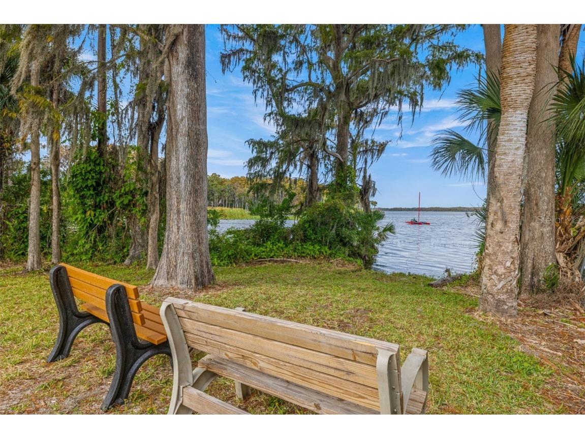 142 Stafford Circle Palm Harbor FL 34684 - LAKE TARPON TB8450333 image45