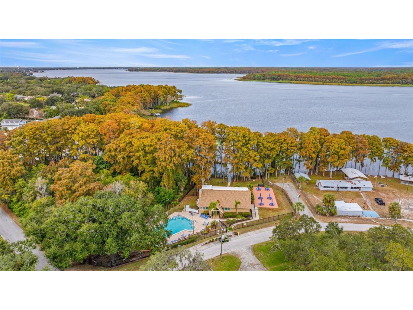 142 Stafford Circle Palm Harbor FL 34684 - LAKE TARPON TB8450333 image46