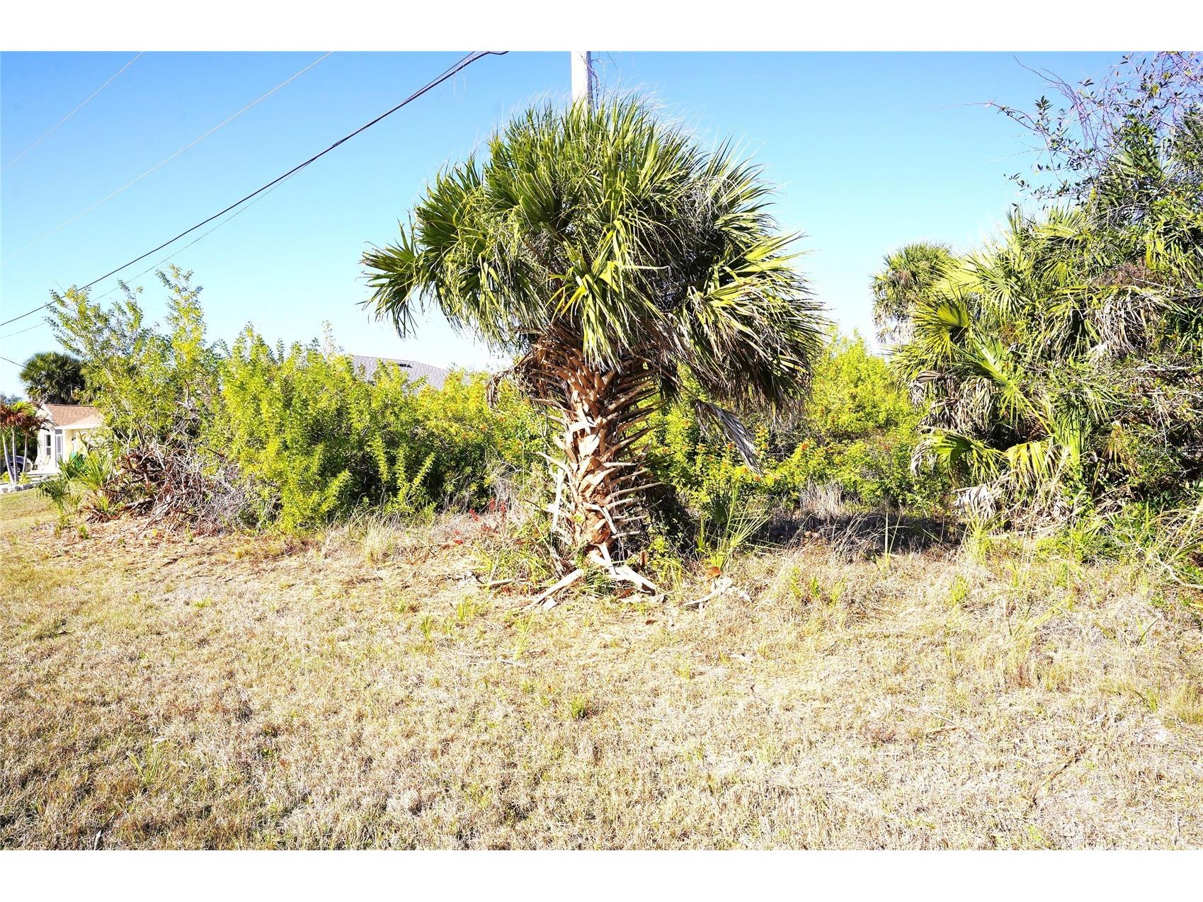 142 Sunny Way Rotonda West FL 33947 C7522414 image3
