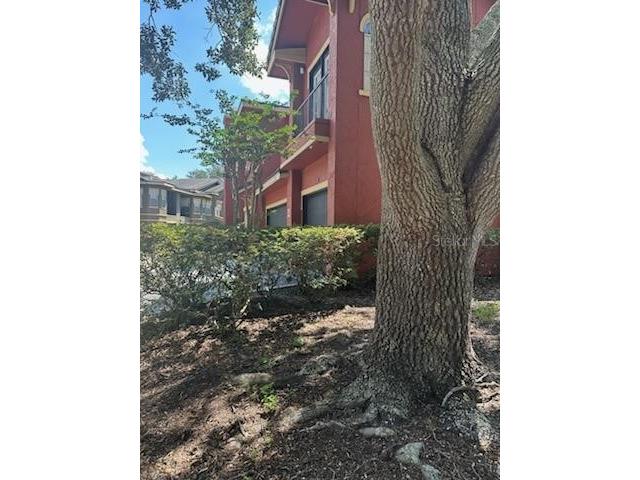 142 Villa Di Este Terrace #204 Lake Mary FL 32746 NS1085608 image18