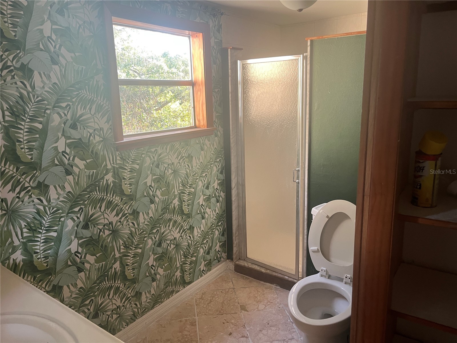 142 Winston Avenue Lake Wales FL 33853 S5146737 image25
