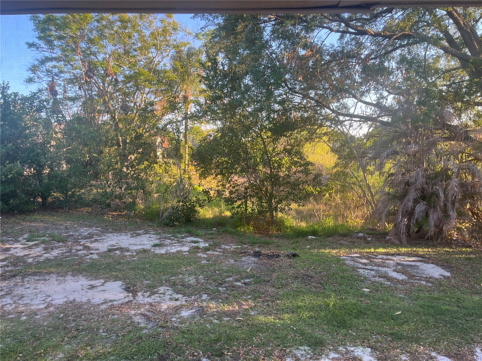 142 Winston Avenue Lake Wales FL 33853 S5146737 image35