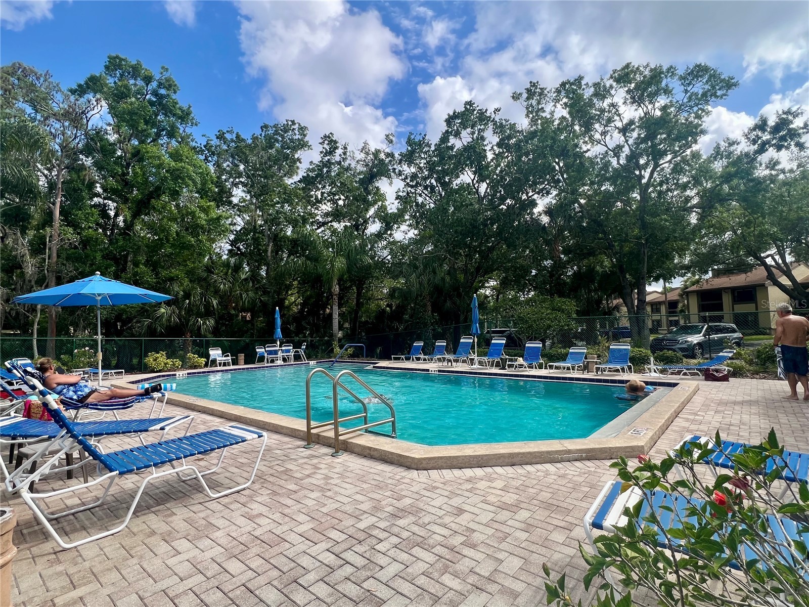 142 Woodlake Wynde #48 Oldsmar FL 34677 TB8507526 image19