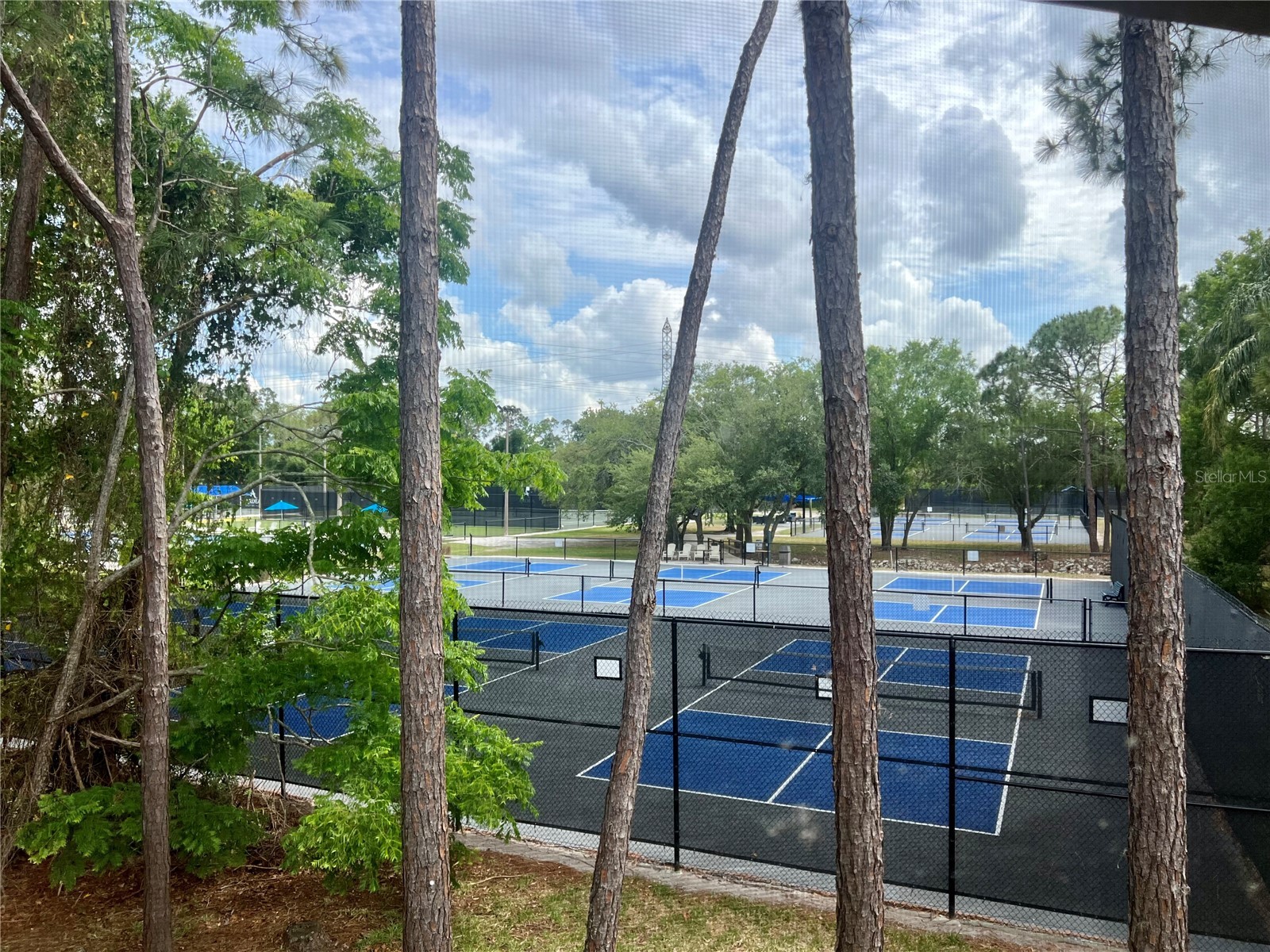 142 Woodlake Wynde #48 Oldsmar FL 34677 TB8507526 image9