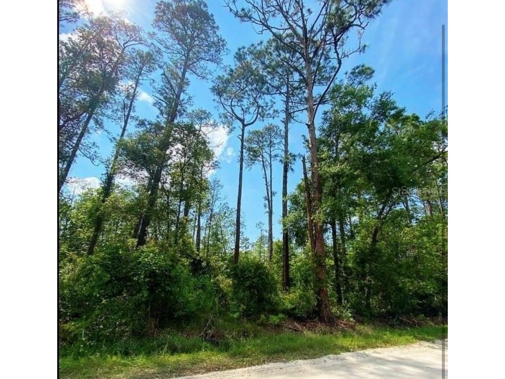 1420 10th Avenue Deland FL 32724 V4936404 image1