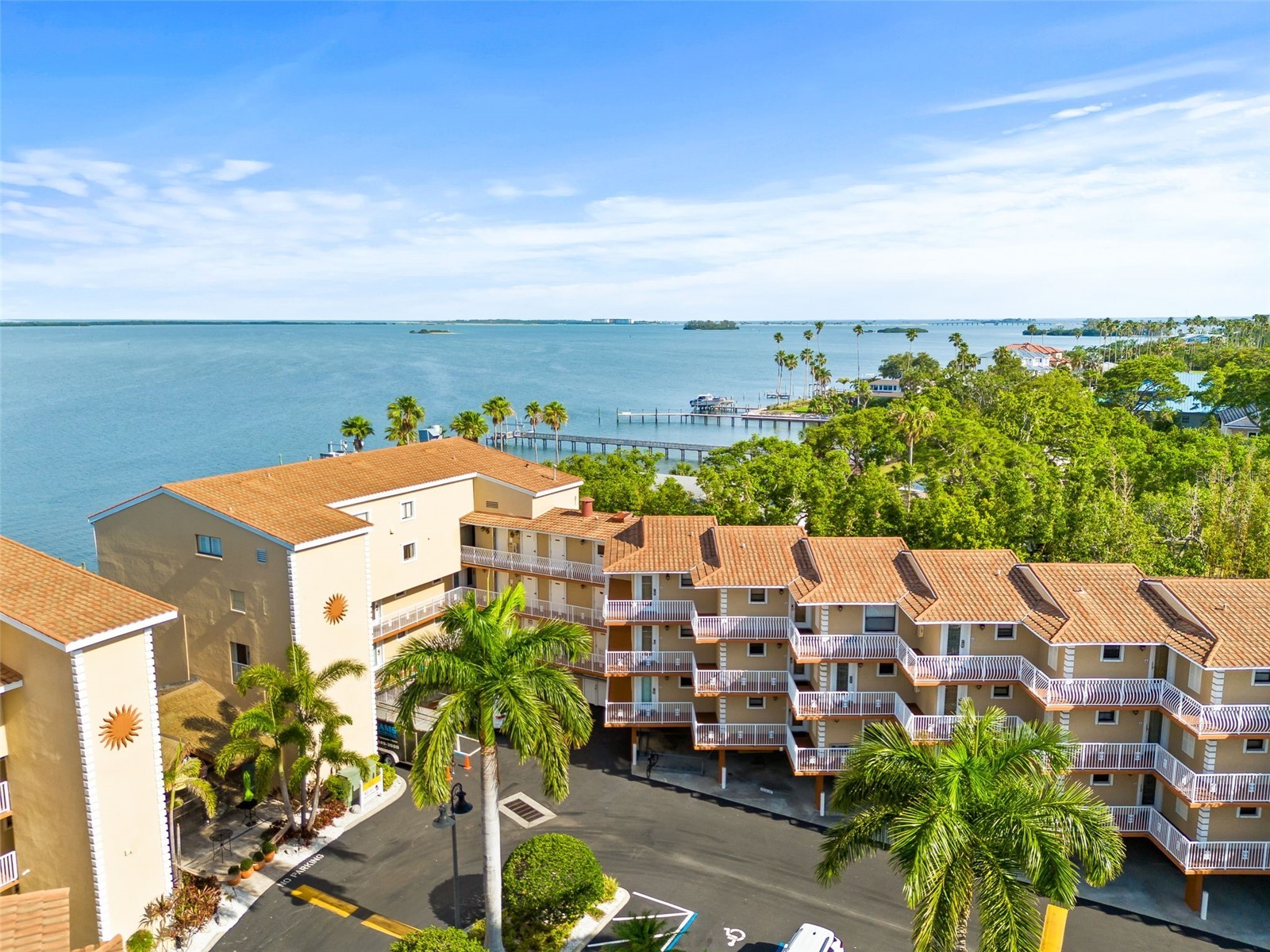 1420 Bayshore Boulevard #206 Dunedin FL 34698 - GULF OF MEXICO/ST.JOSEPH SOUND TB8526454 image2
