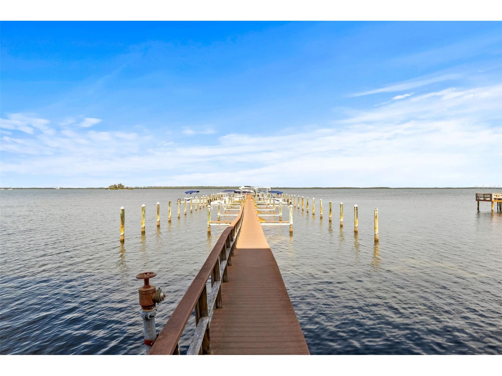 1420 Bayshore Boulevard #206 Dunedin FL 34698 - GULF OF MEXICO/ST.JOSEPH SOUND TB8526454 image22