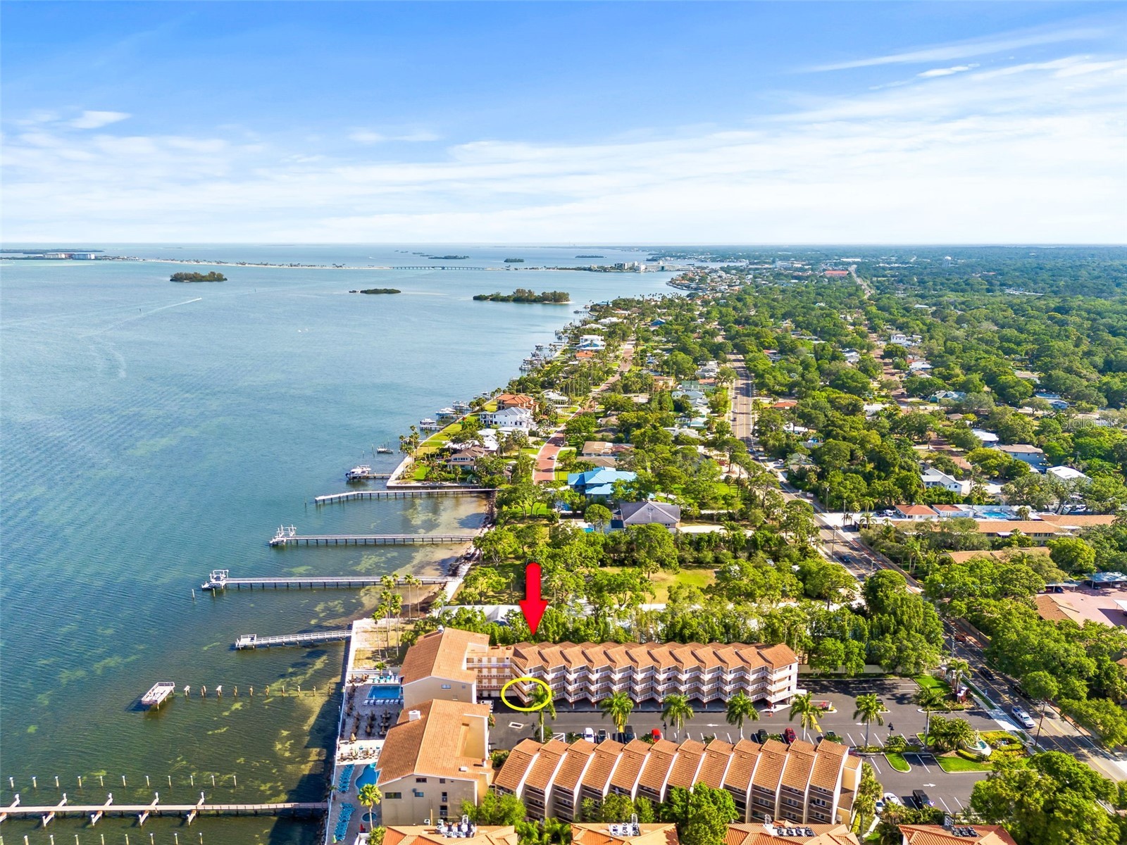 1420 Bayshore Boulevard #206 Dunedin FL 34698 - GULF OF MEXICO/ST.JOSEPH SOUND TB8526454 image29