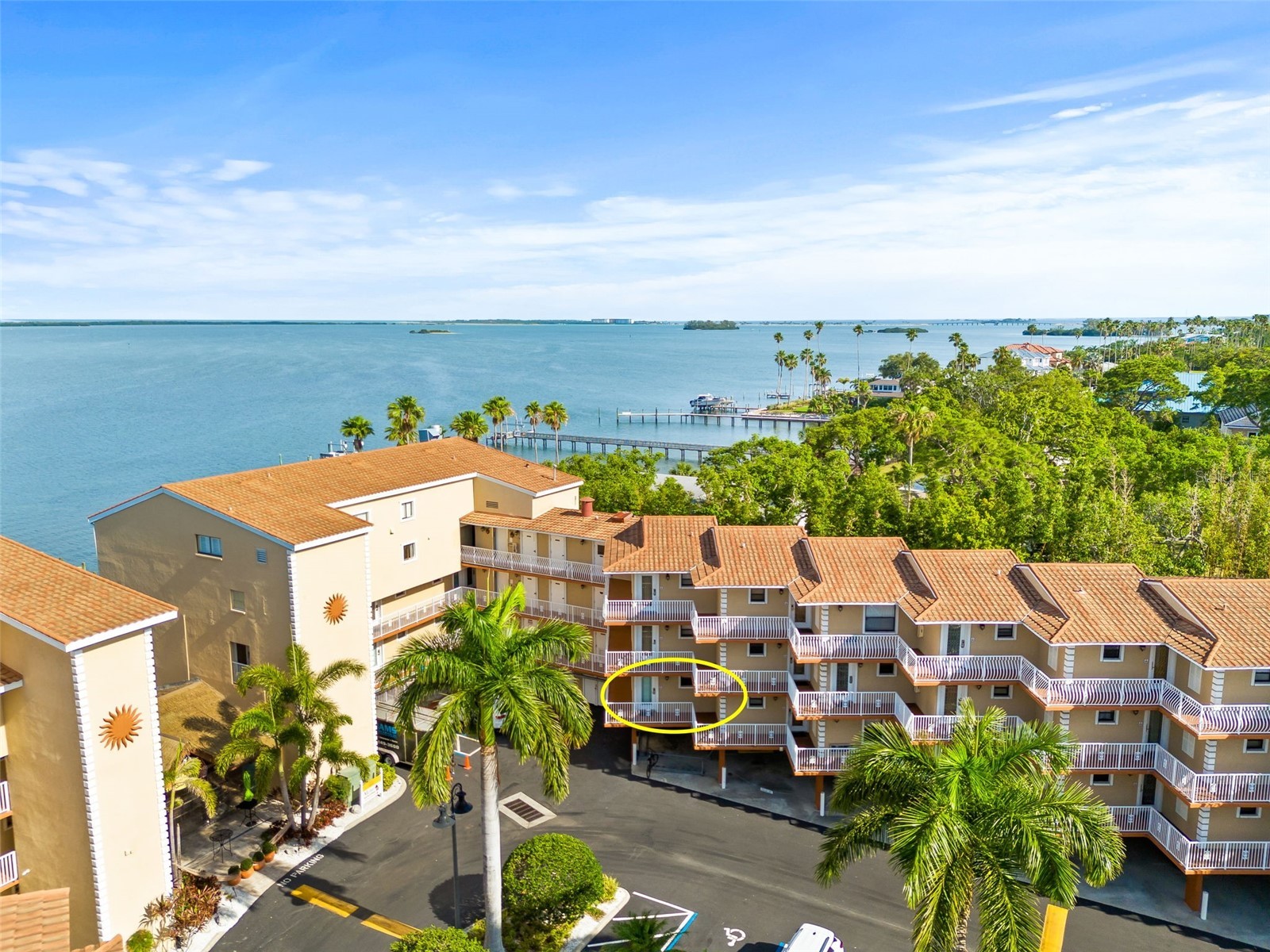 1420 Bayshore Boulevard #206 Dunedin FL 34698 - GULF OF MEXICO/ST.JOSEPH SOUND TB8526454 image3