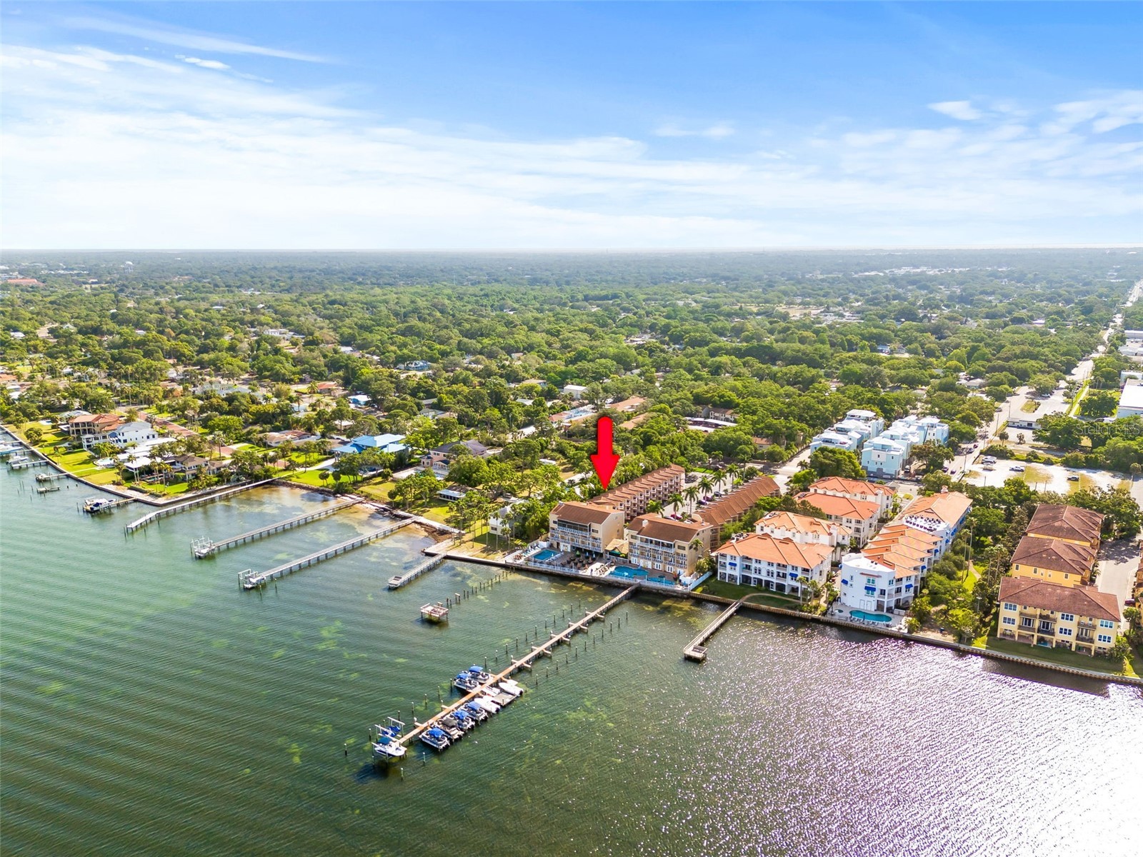 1420 Bayshore Boulevard #206 Dunedin FL 34698 - GULF OF MEXICO/ST.JOSEPH SOUND TB8526454 image30