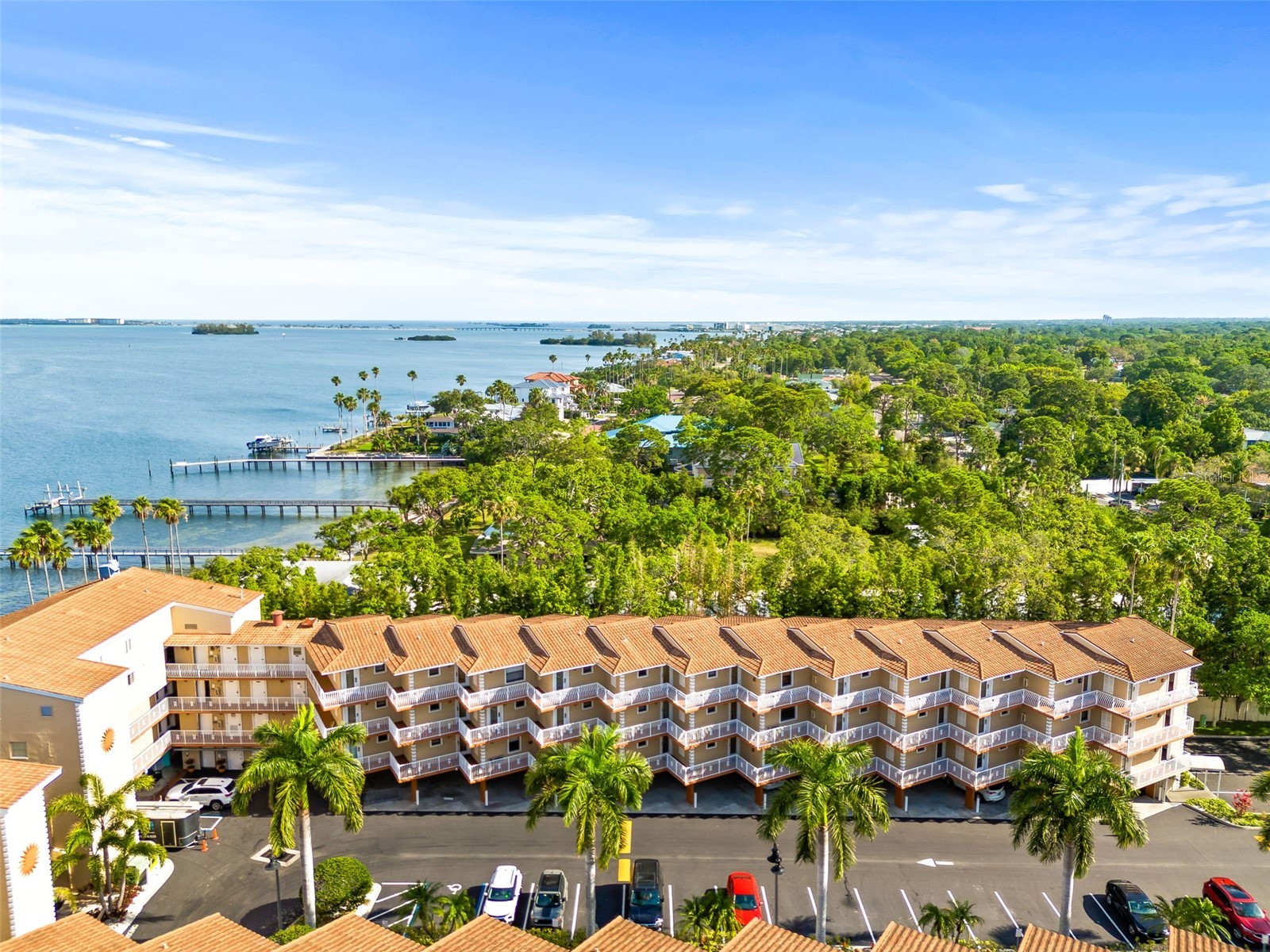 1420 Bayshore Boulevard #206 Dunedin FL 34698 - GULF OF MEXICO/ST.JOSEPH SOUND TB8526454 image4