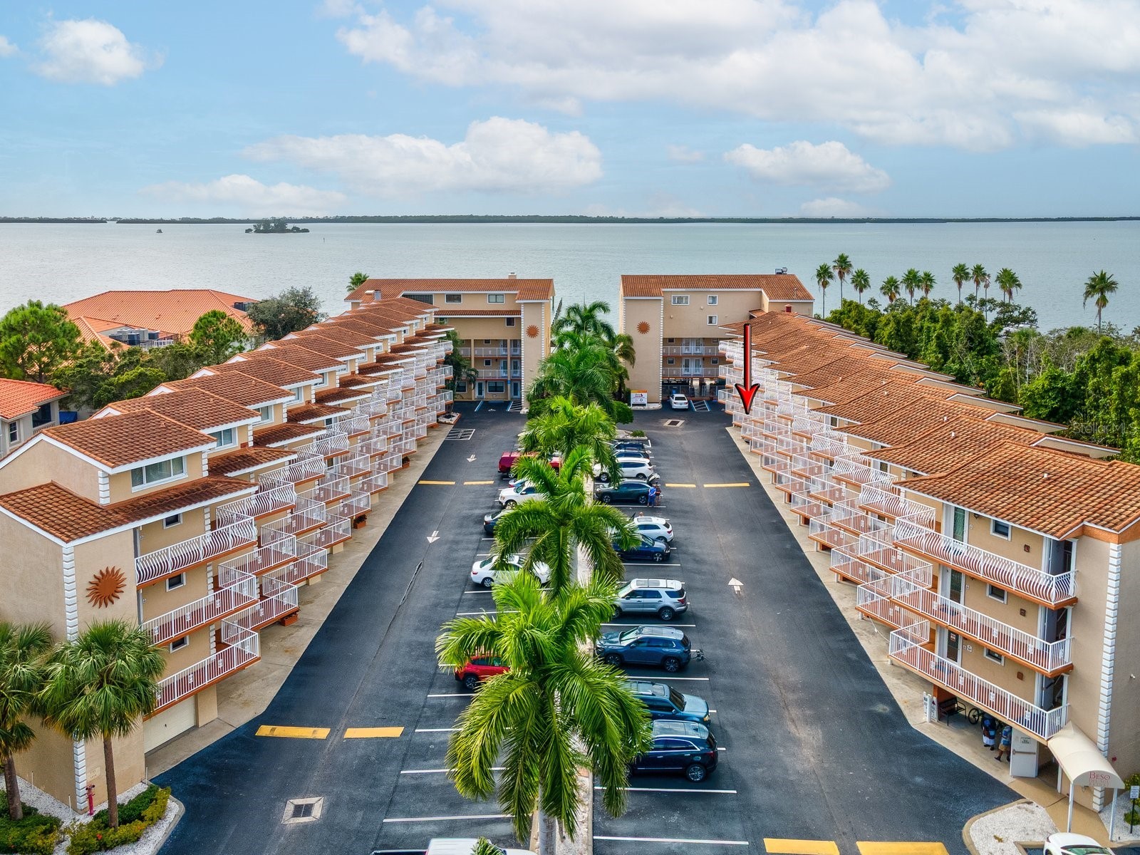 1420 Bayshore Boulevard #208 Dunedin FL 34698 - ST JOSEPH SOUND TB8443558 image1