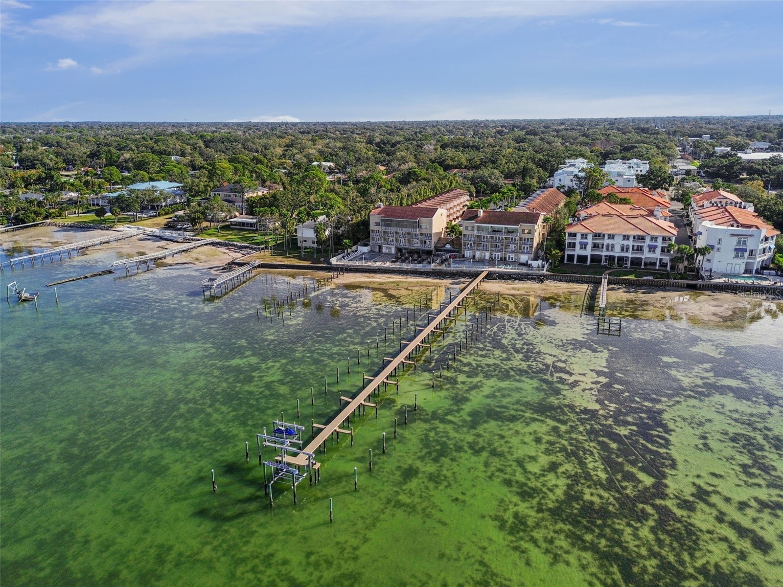 1420 Bayshore Boulevard #402 Dunedin FL 34698 - ST JOSEPH SOUND TB8464127 image33