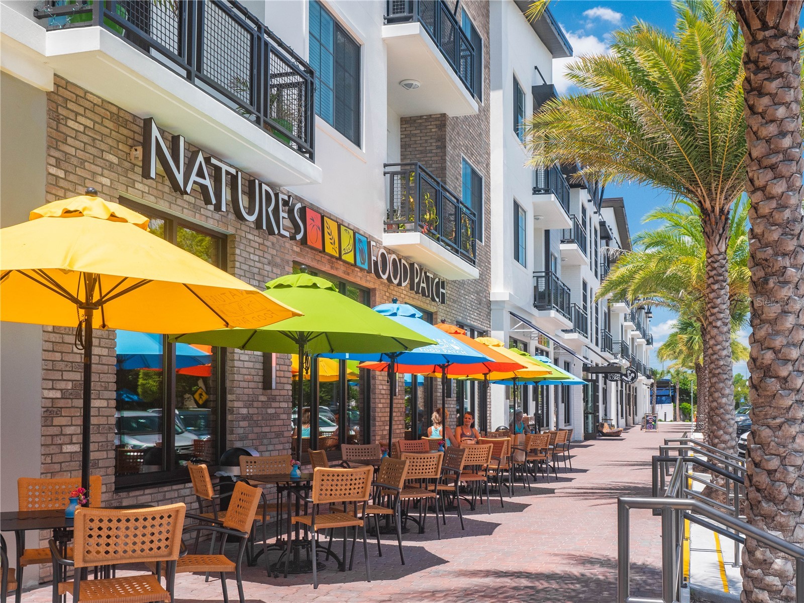 1420 Bayshore Boulevard #403 Dunedin FL 34698 TB8478637 image1