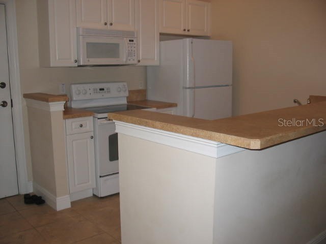 1420 Lake Baldwin Lane Orlando FL 32814 O6368357 image2